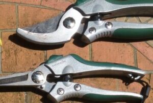 Read more about the article Corded vs. Cordless Grass Shears, What’s the Difference?