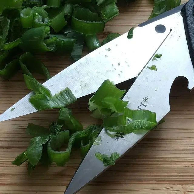 spring onion kitchen shears scissors