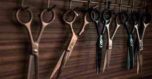 Read more about the article Top 10 Tips on How to Maintain and Take Care of Kitchen Shears